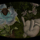 Thumb 666fc3b21ec76312a0f13bab