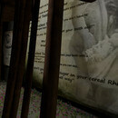 Thumb 668f5030560cd71e651f86af