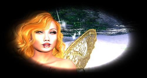 Web 62943c06972bb66d0d5db03b