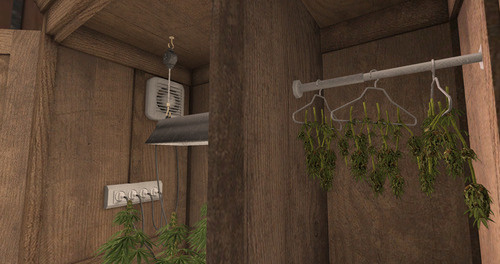 Web 64c0a5ed6ed22a0c58441051