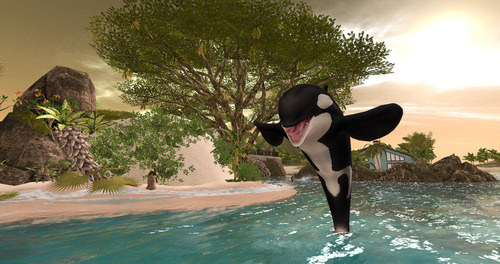 Web 64c0b737cff2634f2c6857bf