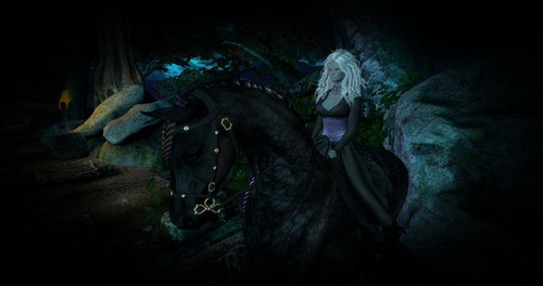 Web 6529bf1e73c4f73daf2e1ed9