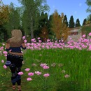 Thumb 53eea429a73e214f96000001