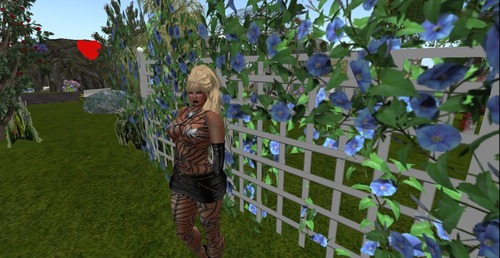 Web 54368421a73e21413e000001