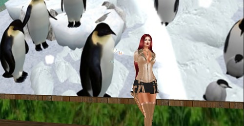 Web 56cb72ca76408b6110000001