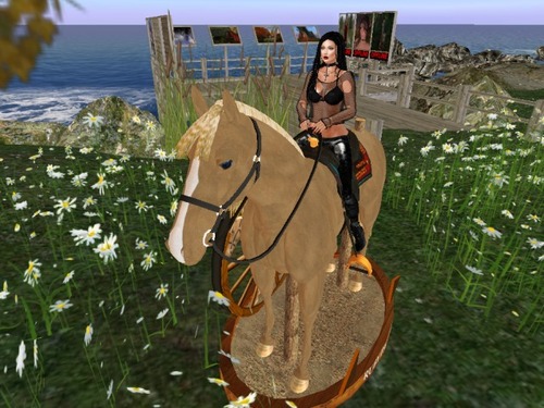 Web 5739f11bf8a1ec74a1000001