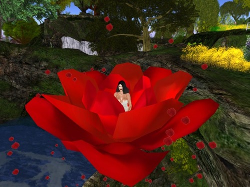 Web 573b6666b713f77cff000001