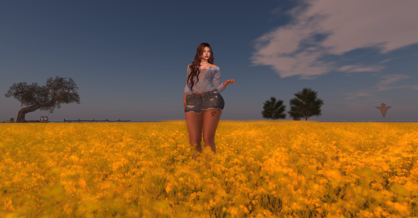 Original 61d9d1bf45b3dc48e9a30506