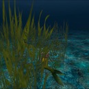 Thumb 55e00b168da5727b4b000001