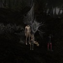 Thumb 5634e1e2128cc90513000001