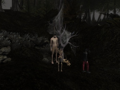 Web 5634e1e2128cc90513000001