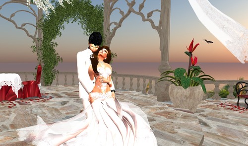 Web 53d5dbc3128cc97782000001