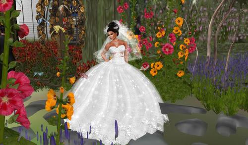 Web 595d1853d9859c47ea000001