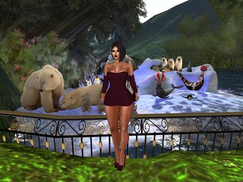 Web 5bee7b39289dd24199000001