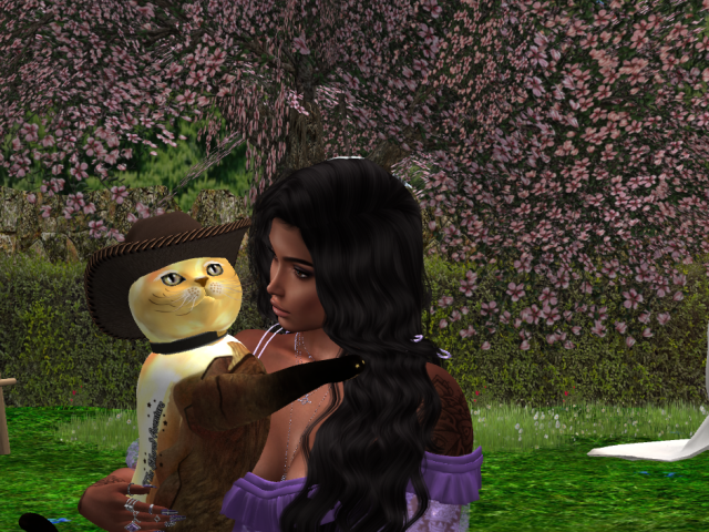 Original 5d482097d774f81ddc000001