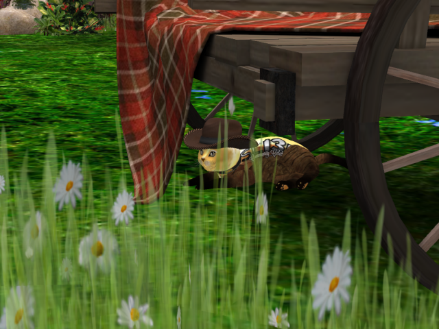 Original 5d53870f73ed172096000001