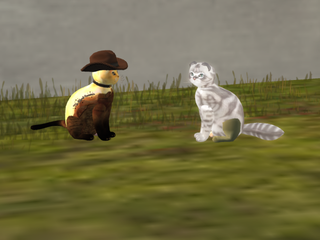 Original 5ed7648173ed17092df3fecf