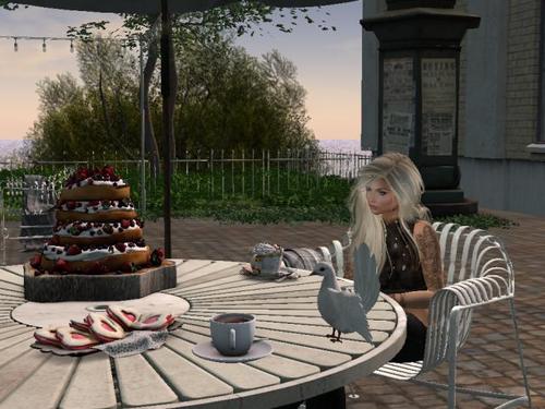 Web 5b53766773ed17756e000001