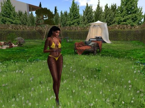 Web 5d303a5f289dd23854000001