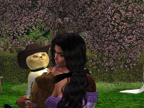 Web 5d482097d774f81ddc000001