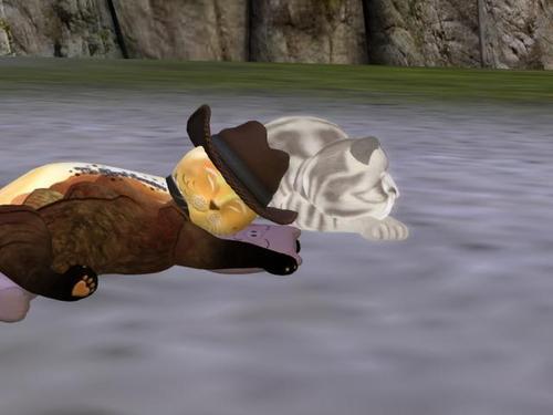 Web 5eba1e43d9859c337fa732bb