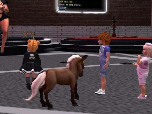 Web 5ebe9b63d774f858155d2740