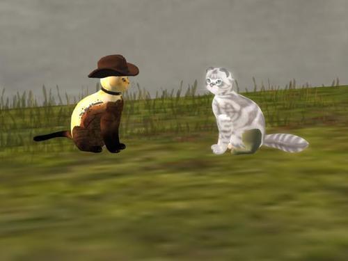 Web 5ed7648173ed17092df3fecf