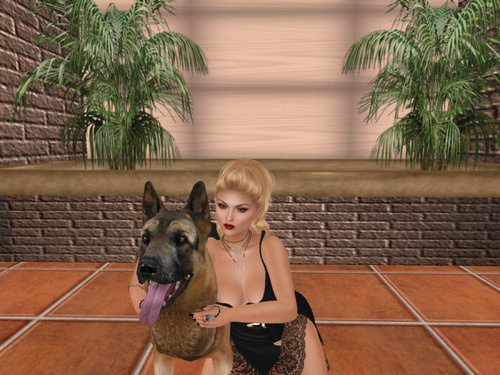 Web 65cb8ccbbda26c59328917a6