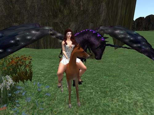 Web 60a2a6545084a053baaac157