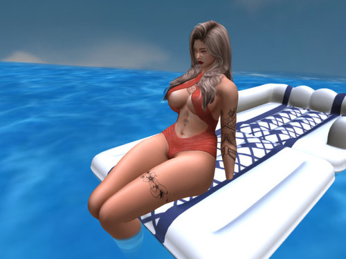 Web 66313662712a7e24ce72798d