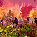 Thumb 650fa71addef4c14dc4b7d39