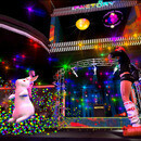 Thumb 6600adbcf319e83587145614