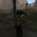 Thumb 540c03848da5724173000001