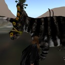 Thumb 540c03ee8da5724275000001