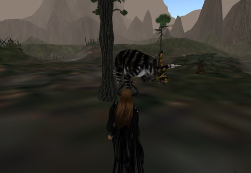 Web 540c03848da5724173000001