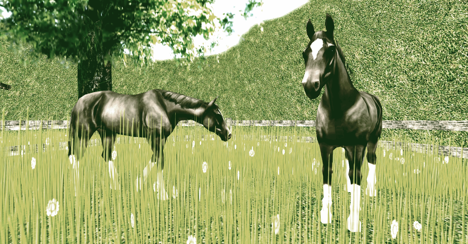 Original 5608d357a73e215bd5000001