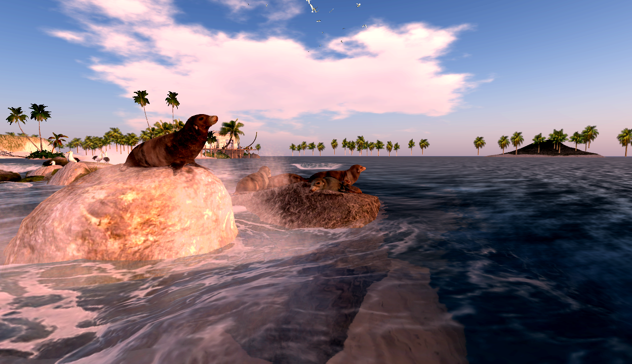 Original 6240c937e8a5f159b6c1669f