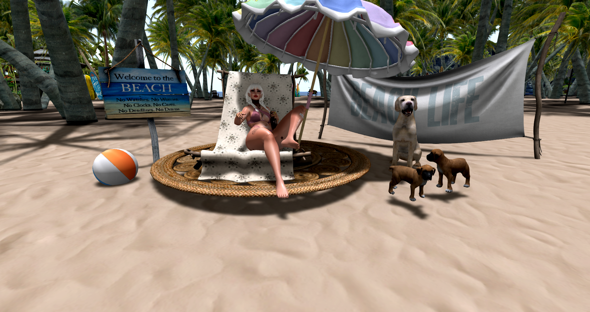 Original 648f77c4991483235df1f6f1