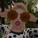 Thumb 5f779787289dd245e18c6a79