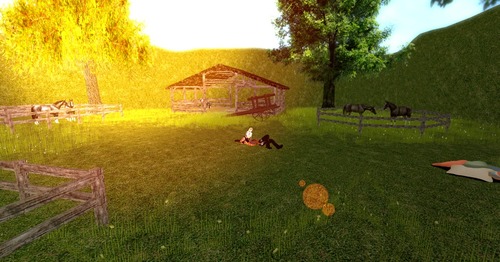 Web 5608cbf9128cc9223e000001