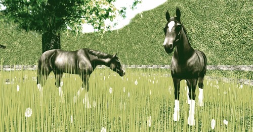 Web 5608d357a73e215bd5000001