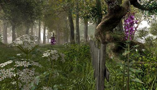 Web 622acf59e8a5f170b7c1669f