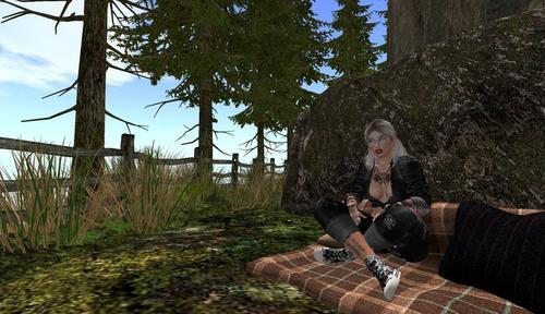 Web 6236a61898ed957412895231