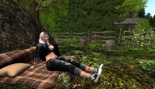 Web 6236a6cc972bb65cfc5db03b