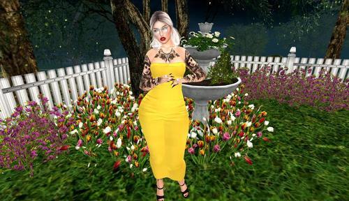 Web 623933c5e8a5f1691fc1669f