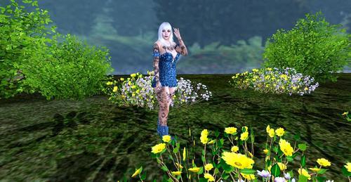 Web 63002d3e97b88f7f838755cd