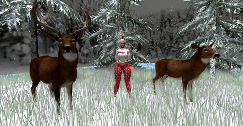 Web 639ff0f1f7069f5c560f9a29