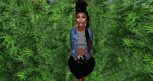 Web 5435c082128cc9116f000001