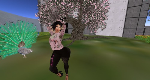 Web 5441d5748da5727b37000001