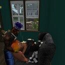 Thumb 6528dc33ff9c6d1859c1fa7c